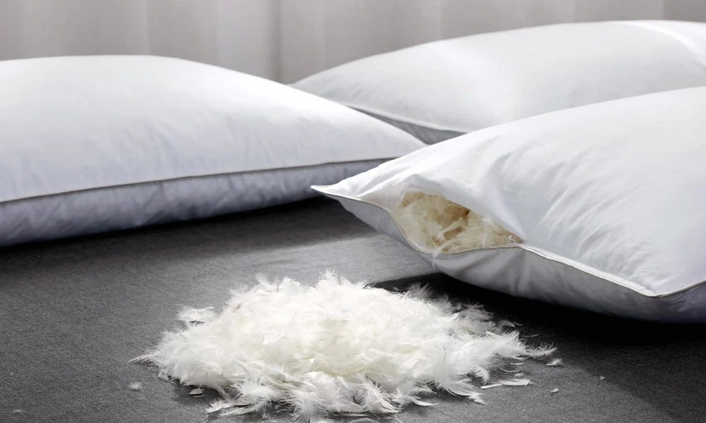Подушка из лебяжьего пуха: плюсы и минусы